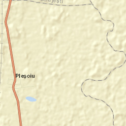 Pleşoiu Street Map