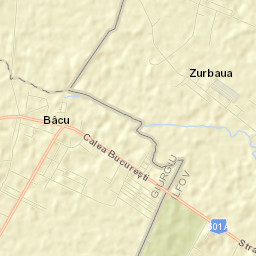 Bâcu Street Map