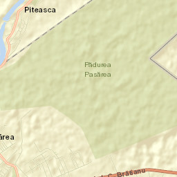 Piteasca Street Map