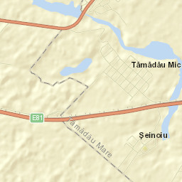 Comuna Tãmãdãu Mare Street Map