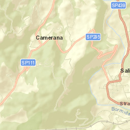 Saliceto Street Map