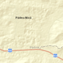 Padina Mică Street Map