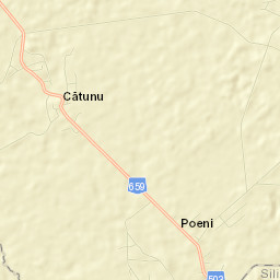 Comuna Poeni Street Map