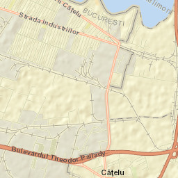 Cățelu Street Map