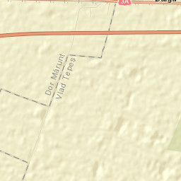 Dâlga-Gară Street Map