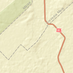 Dealu Street Map