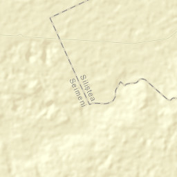 Siliştea Street Map