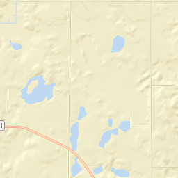 Rice County Street Map