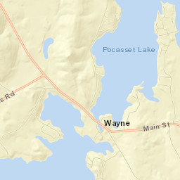 Wayne Street Map