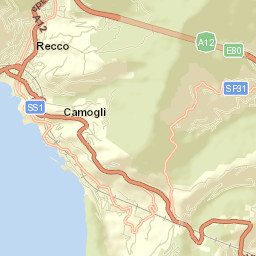 Recco Street Map