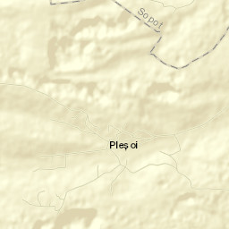 Pleșoi Street Map