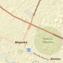 Măgurele Street Map
