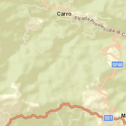 Carro Street Map