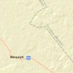 Necşeşti Street Map