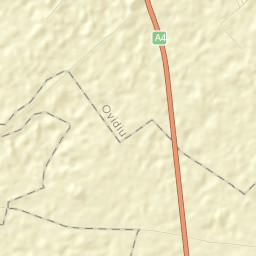 Oraş Ovidiu Street Map