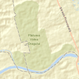 Comuna Herăşti Street Map