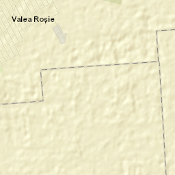Valea Roșie Street Map