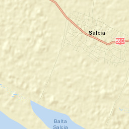 Comuna Salcia Street Map
