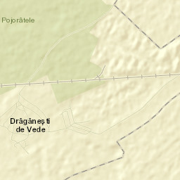 Drăgăneşti de Vede Street Map