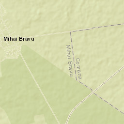 Mihai Bravu Street Map