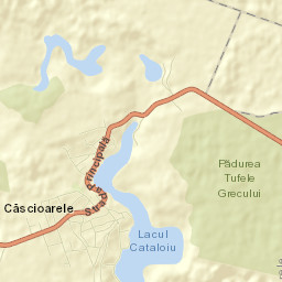 Comuna Căscioarele Street Map