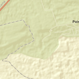 Puieni Street Map