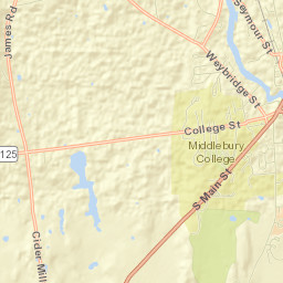 Middlebury (village) Street Map