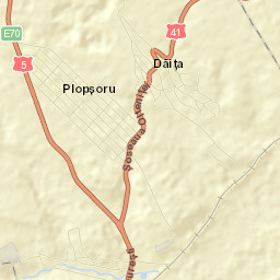 Plopșoru Street Map