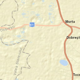 Dobreşti Street Map