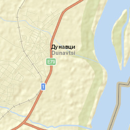 Dunavtsi Street Map
