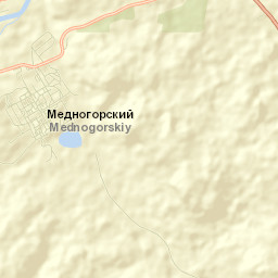 Mednogorskiy Street Map