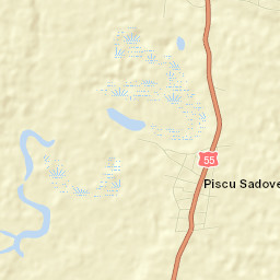 Piscu Sadovei Street Map