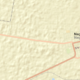 Negru Vodă Street Map