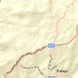 Pelago Street Map