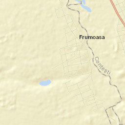 Conţeşti Street Map