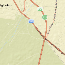 Migliarino Street Map