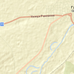 Gulyantsi Street Map