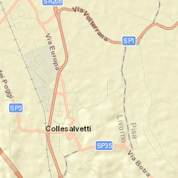 Collesalvetti Street Map