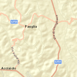 Fauglia Street Map