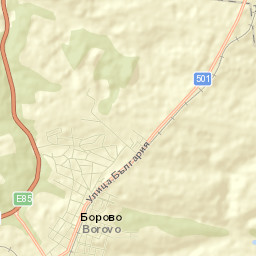 Borovo Street Map