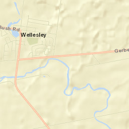 Wellesley Street Map