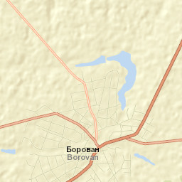 Borovan Street Map