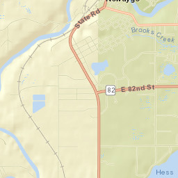 Newaygo Street Map