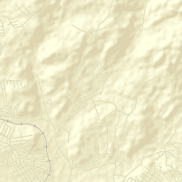 Nadezhdinskiy Rayon Street Map