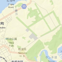 Nemuro-shi Street Map