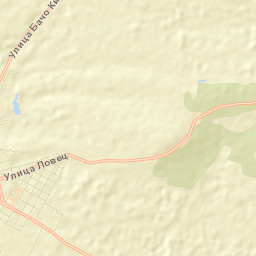 Pavlikeni Street Map