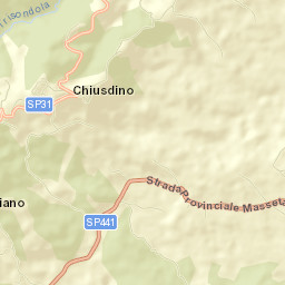 Chiusdino Street Map