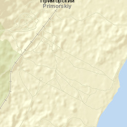 Primorskiy Street Map