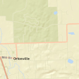Ortonville Street Map