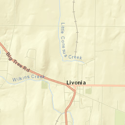 Livonia Street Map